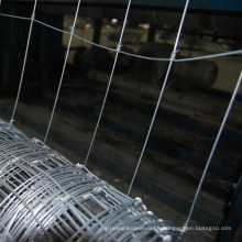 Hot Dipped Galvanized Farm Field Fence
